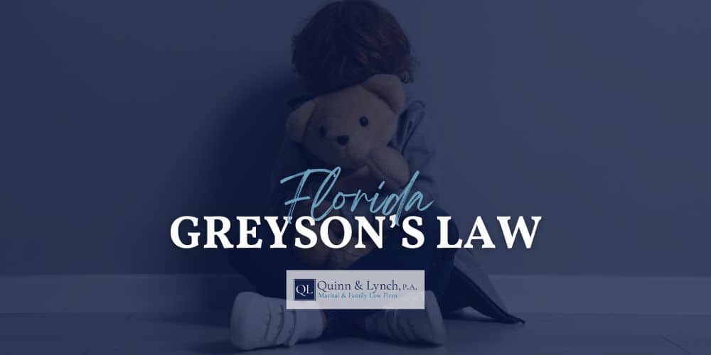 Greysons Law Florida