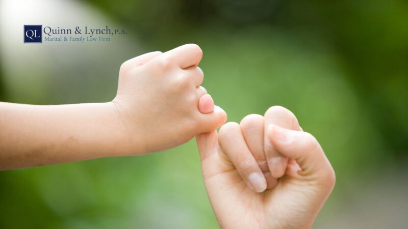 florida parenting plan for high conflict parents