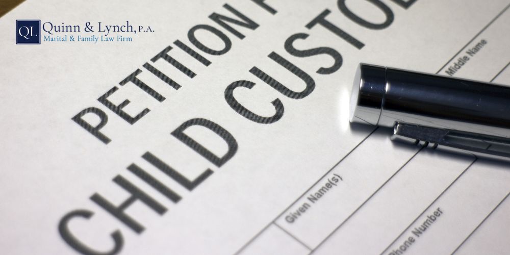 Tampa Florida Child Custody Lawyer